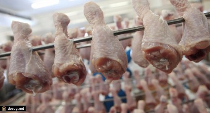 СМИ: в курином мясе ученые нашли новый смертоносный вирус