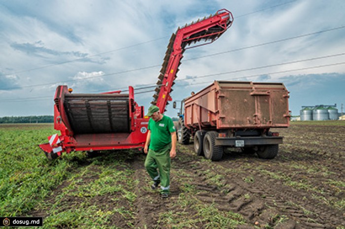 Ткачев предсказал России роль крупного поставщика продовольствия в Китай