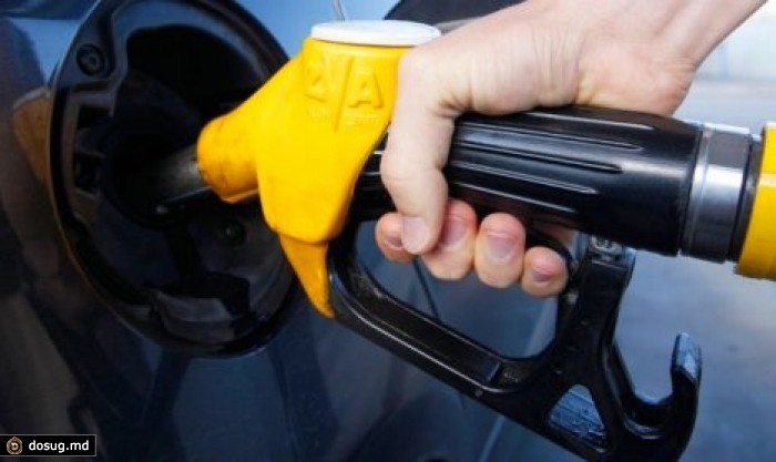 Три компании-импортера нефтепродуктов снизили цены на горючее