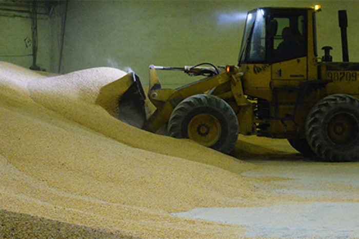 Турция ограничила поставки российского зерна из-за помидоров