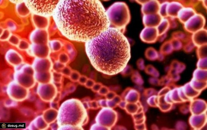 Ученые нашли "часы", определяющие время смерти
