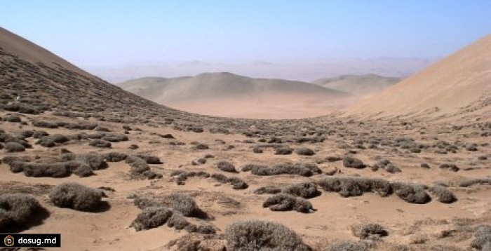 Ученые проследили историю тумана в пустыне за последние 3500 лет