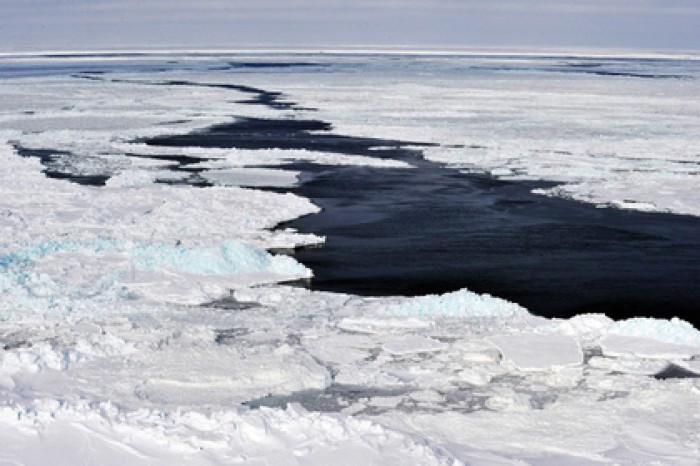 Ученые предупредили об ускоренных темпах таяния льдов в Арктике