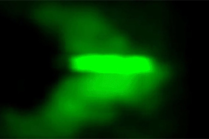 Ударную световую волну впервые сняли на видео