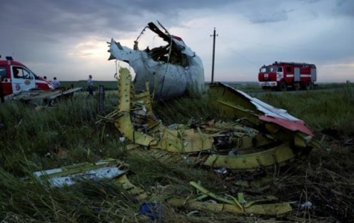 У голландского журналиста нашли кость жертвы крушения Boeing 777 на Донбассе