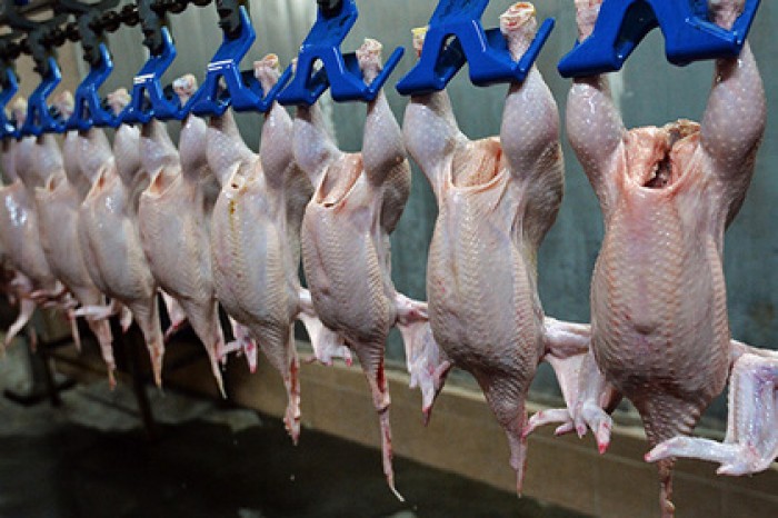 Украине разрешили экспортировать птицу только из чистых регионов