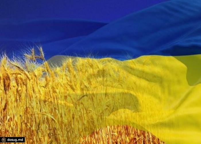 Украинский депутат предложил поменять местами цвета государственного флага