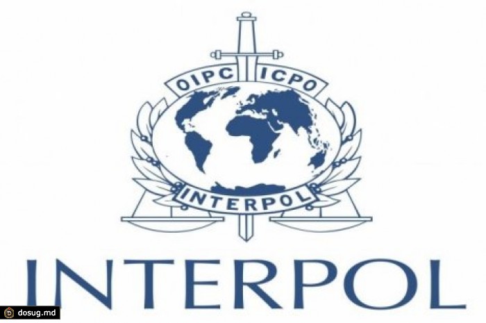 В Интерполе объяснили отказ разыскивать бывшего генпрокурора Украины