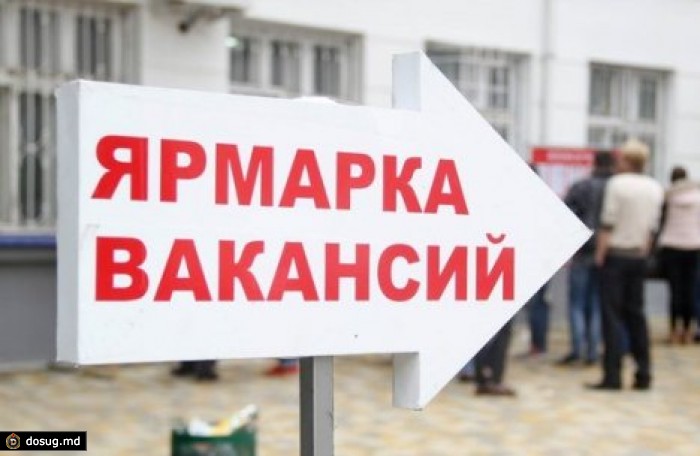 В Кишиневе организуют новую ярмарку вакансий