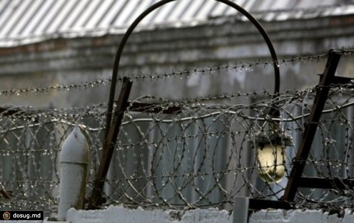 В России хотят отменить уголовное наказание за нетяжкие преступления