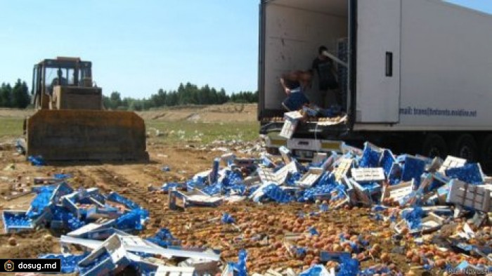 В России за два месяца уничтожили более 700 тонн продуктов