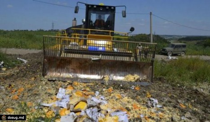 В России за сутки уничтожены почти 320 тонн продуктов