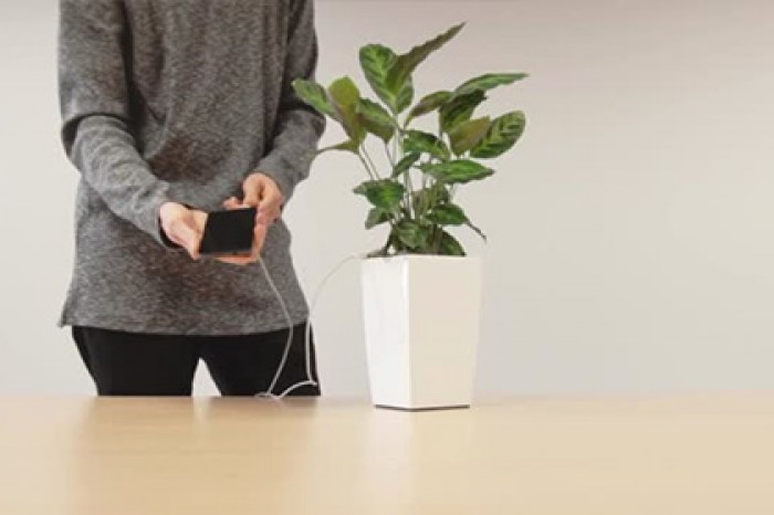 В сети показали цветочный горшок для зарядки смартфона