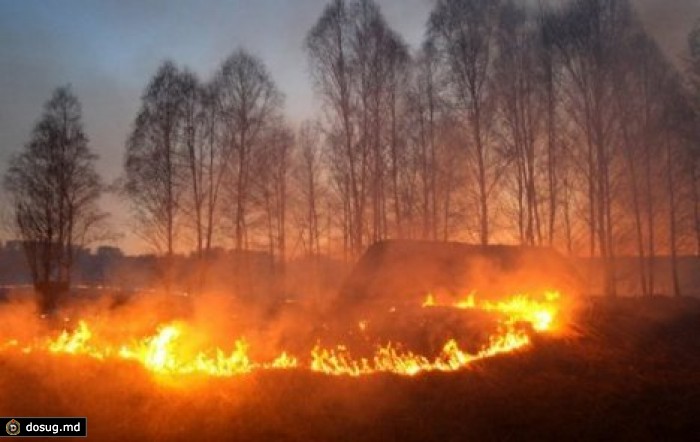 В Сибири горят 119 тысяч гектаров леса