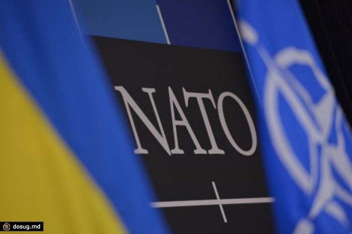 В Украине признали неготовность вступления в НАТО
