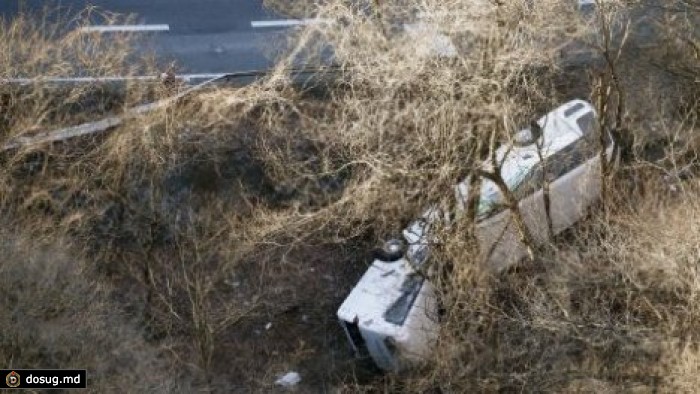 В Японии при падении автобуса в кювет погибли 14 туристов