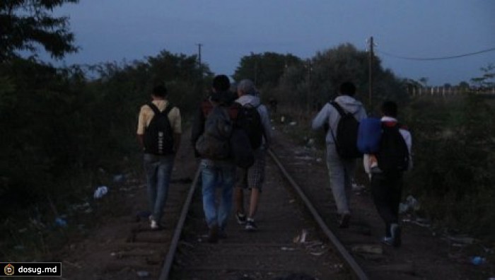 Венгрия готова построить стену на румынской границе