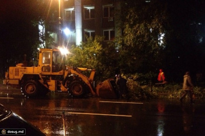 Владивосток избежал серьезных последствий удара тайфуна