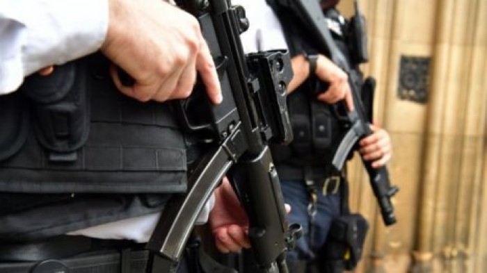 В Лондоне стало больше вооруженных полицейских из-за угрозы террора