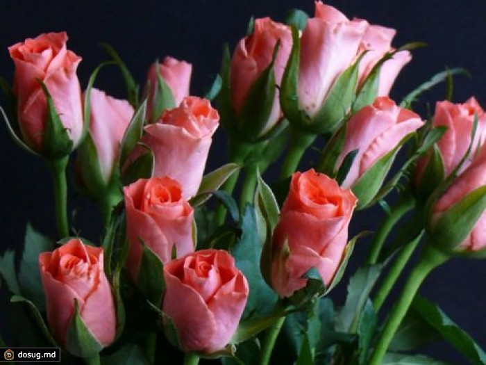 Влюбленным, раздавшим прохожим 300 роз, грозит пятилетний срок колонии