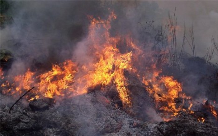 В Молдове объявлена чрезвычайная пожарная опасность