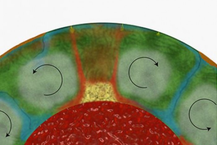 В недрах Земли обнаружены огромные "конвейеры"