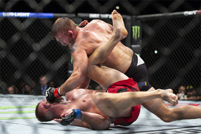 Во Франции запретили проводить бои по правилам ММА