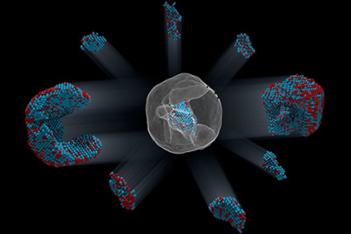 Впервые определены координаты всех атомов крупной частицы