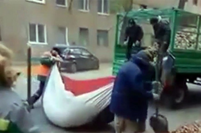 В Волгограде отменено решение об отказе возбудить дело против дворников