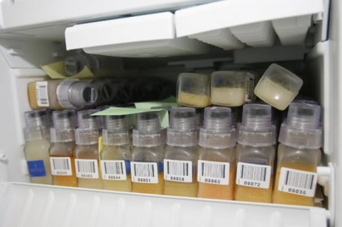 В WADA объяснили прием запрещенных препаратов звездами спорта дефицитом внимания