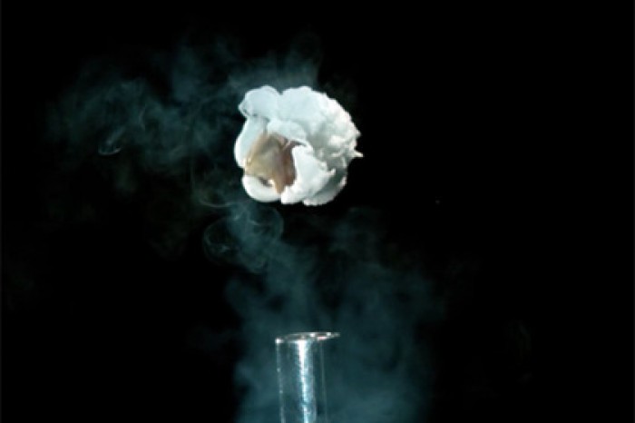 Взрывающуюся кукурузу показали в замедленной съемке