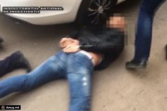 Задержаны торговцы живым товаром (ВИДЕО)