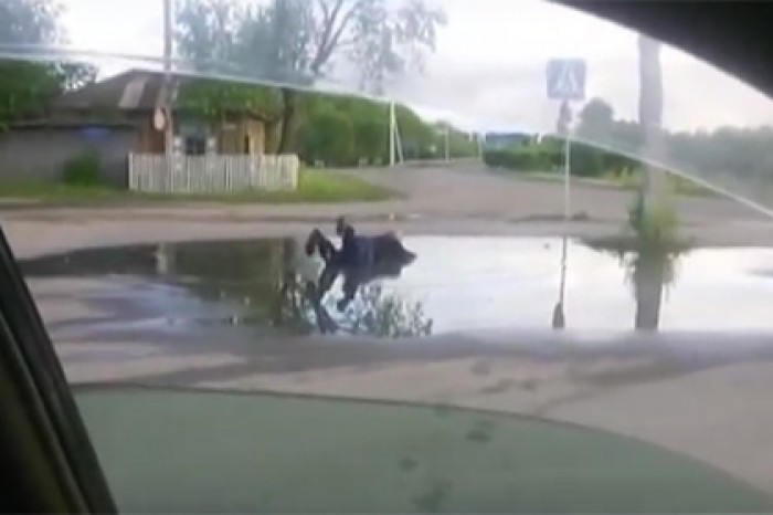 Жители Приамурья пойдут под суд после купания инвалида в луже за деньги