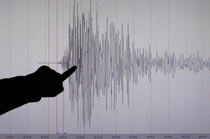 Жители Румынии, Молдовы и Украины ощутили сильное землетрясение