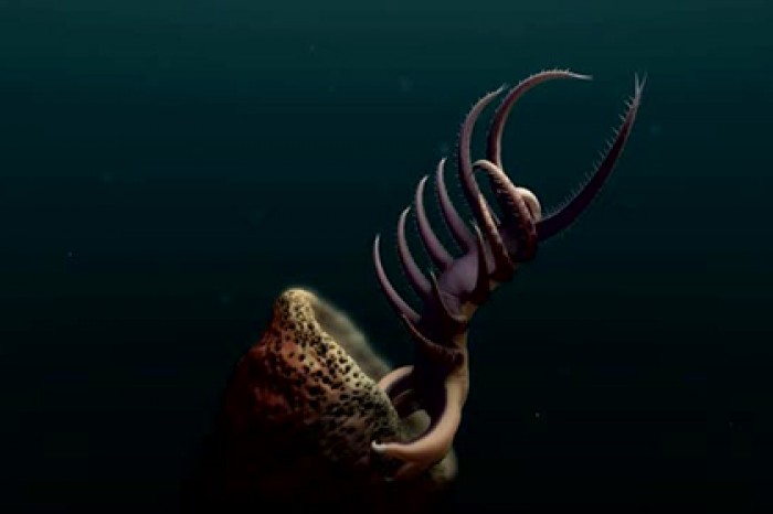 Жившее полмиллиарда лет назад существо показали в анимации