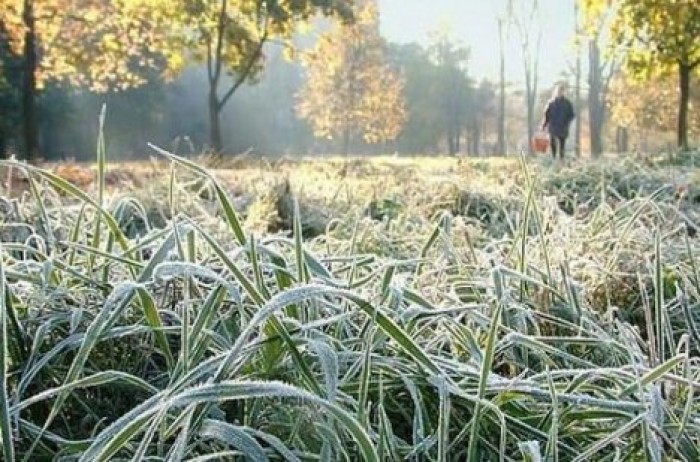 Жёлтый код метеоопасности в связи с заморозками и ливнями