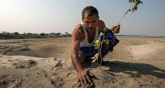 Житель Индии высадил лес, который позже превратился в заповедник