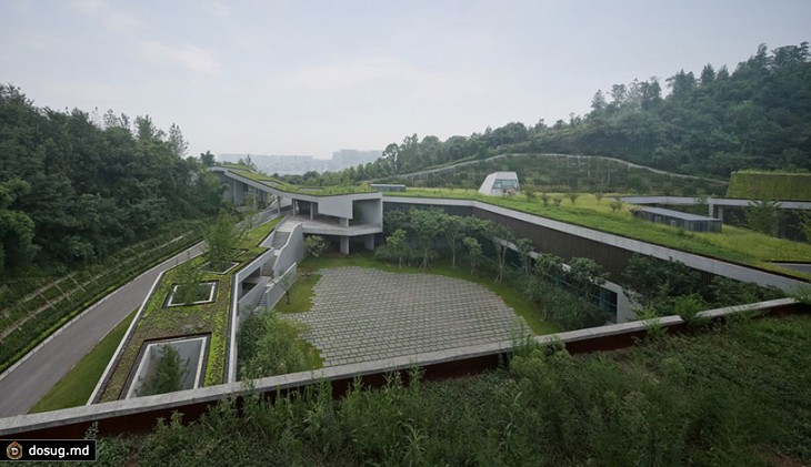 Общественый центр в Китае встроенный в ланшафт