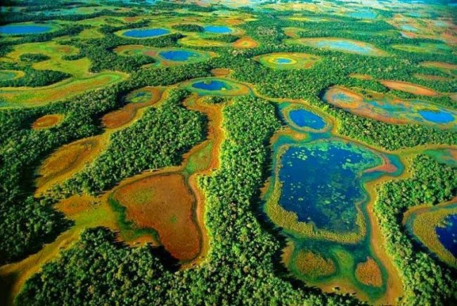 Самое крупное болото на планете