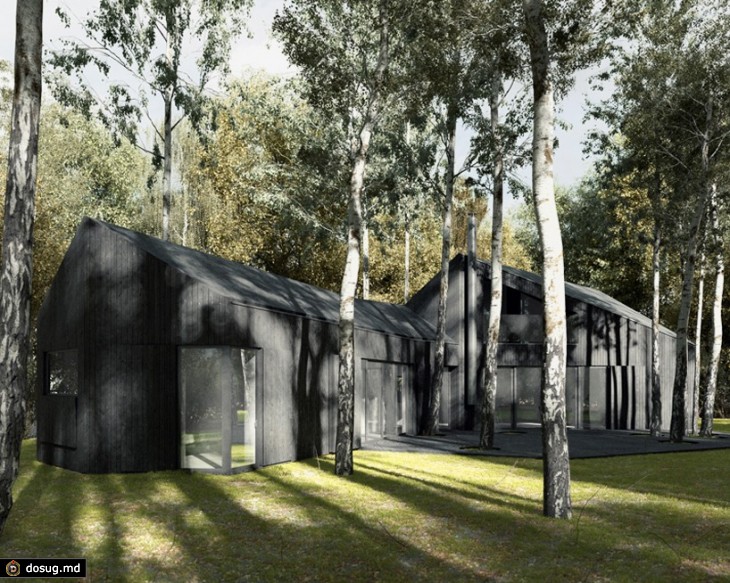 Проект черного дома в лесу Польши