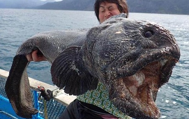 Японец поймал близ берегов Фукусимы "рыбу-чудовище"