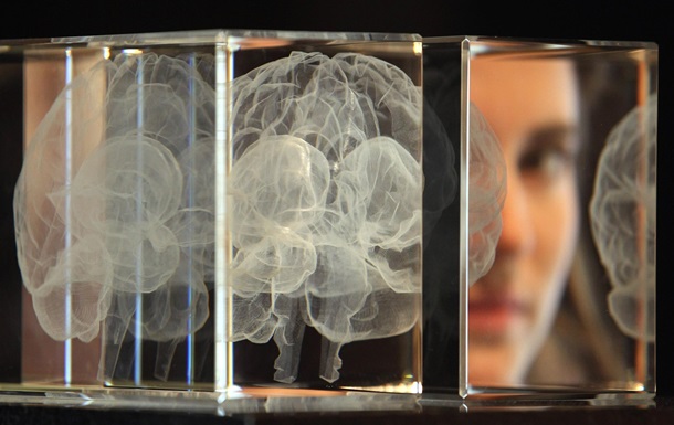Ученые выяснили, как отличить успешных людей по устройству мозга