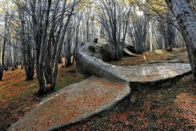 Скульптура кита в аргентинском лесу