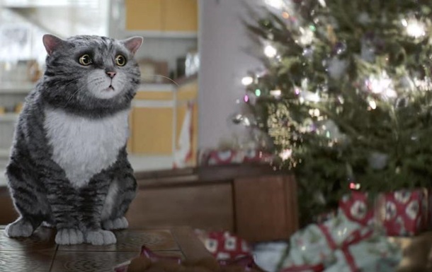Видеохит: испортивший Рождество кот стал любимцем Сети