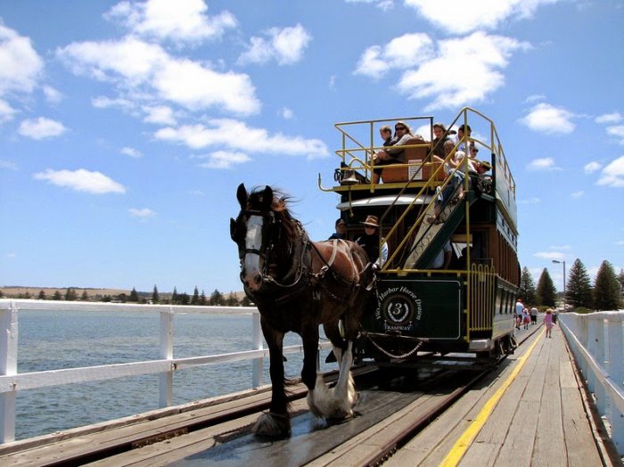 Трамвай-конка в Австралии