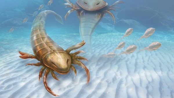 Ученые нашли останки "короля" морей палеозоя