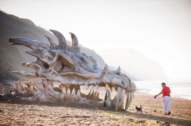 Обнаружен огромный череп динозавра на пляжу в Англии