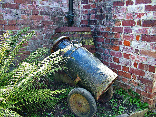 Потерянные сады Heligan