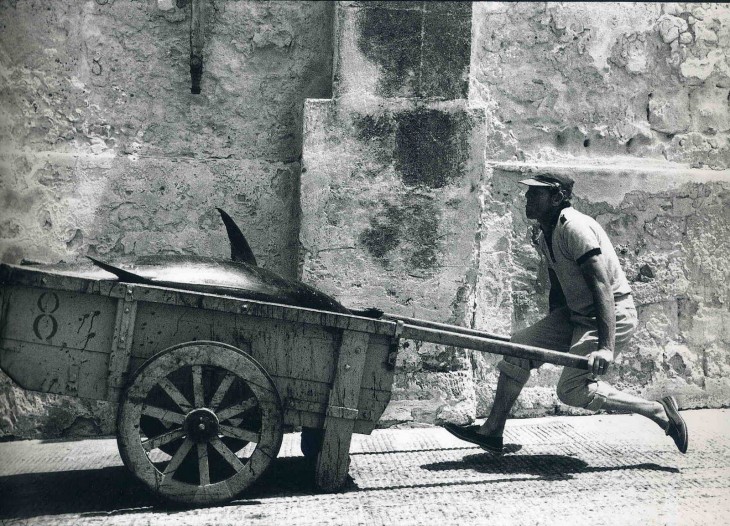 Поэт-фотограф Леонард Фрид (Leonard Freed)