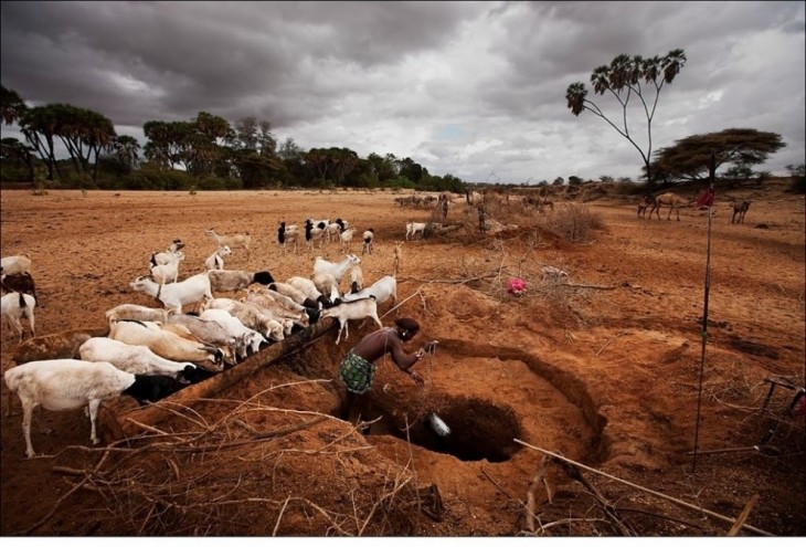 Жизнь Африки в объективе Брента Стиртона (Brent Stirton)